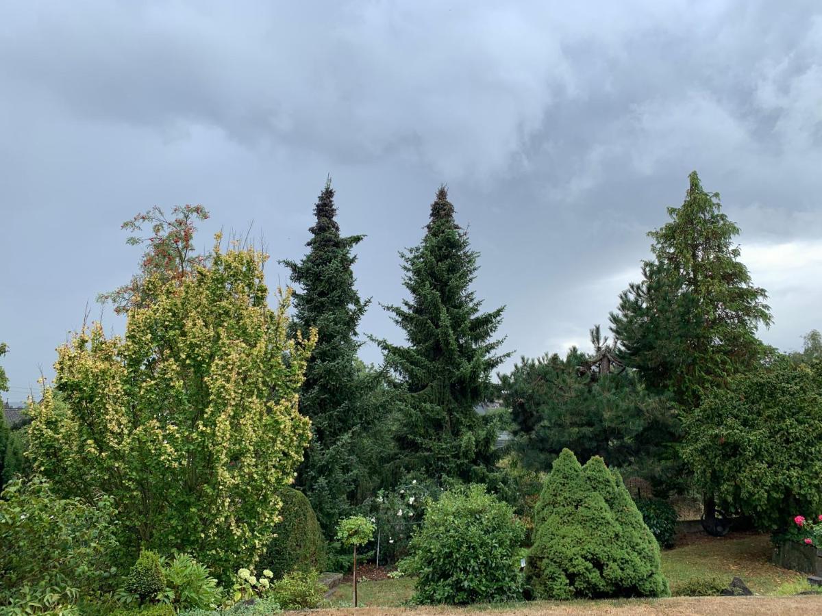 Ferienwohnung Grüne Oase Kottenheim Exterior foto